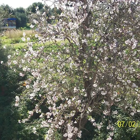 Casa Vacanze Mandorlo in Fiore * Avola