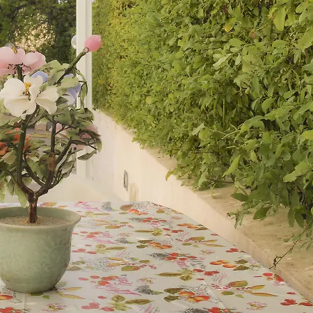 Casa Vacanze Mandorlo in Fiore Avola